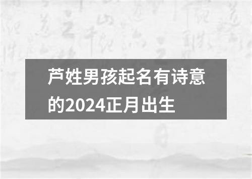 芦姓男孩起名有诗意的2024正月出生