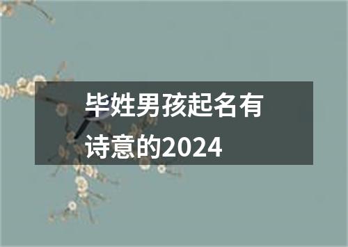 毕姓男孩起名有诗意的2024