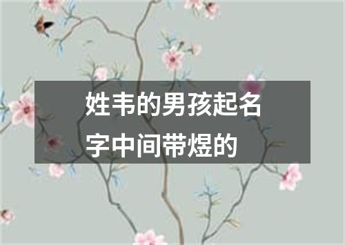 姓韦的男孩起名字中间带煜的