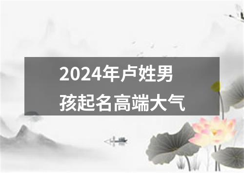 2024年卢姓男孩起名高端大气