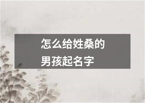 怎么给姓桑的男孩起名字