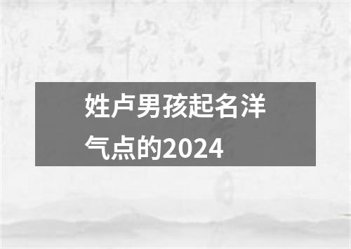 姓卢男孩起名洋气点的2024