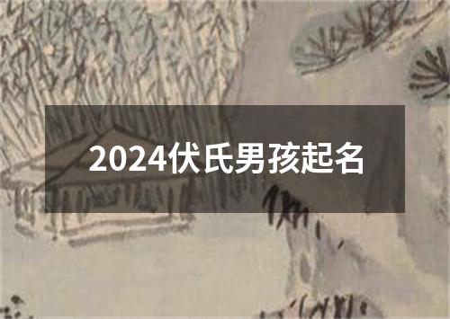 2024伏氏男孩起名