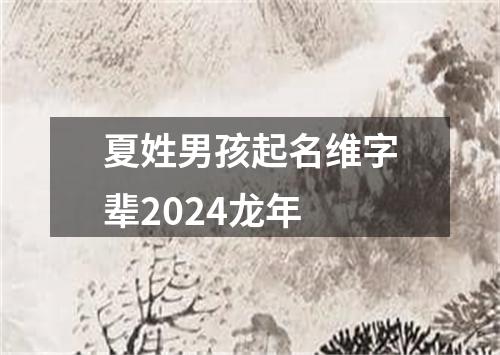 夏姓男孩起名维字辈2024龙年