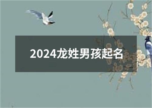 2024龙姓男孩起名