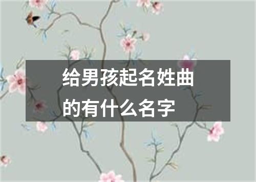 给男孩起名姓曲的有什么名字