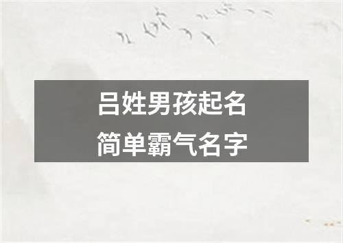 吕姓男孩起名简单霸气名字