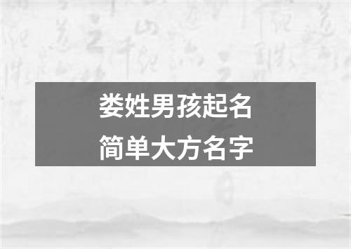 娄姓男孩起名简单大方名字