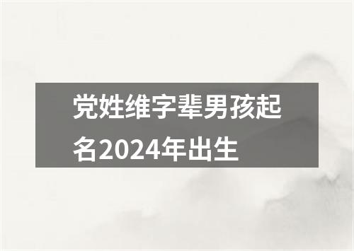 党姓维字辈男孩起名2024年出生