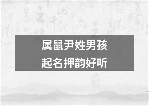 属鼠尹姓男孩起名押韵好听