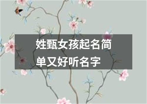 姓甄女孩起名简单又好听名字