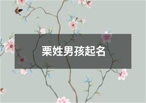 栗姓男孩起名