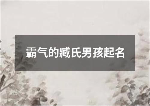 霸气的臧氏男孩起名