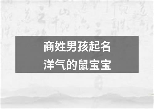 商姓男孩起名洋气的鼠宝宝