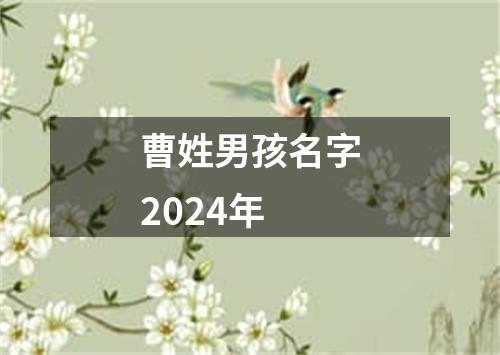 曹姓男孩名字2024年