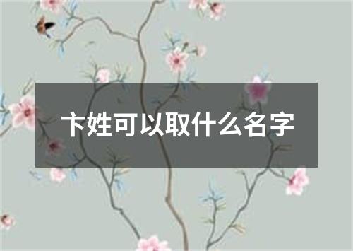 卞姓可以取什么名字