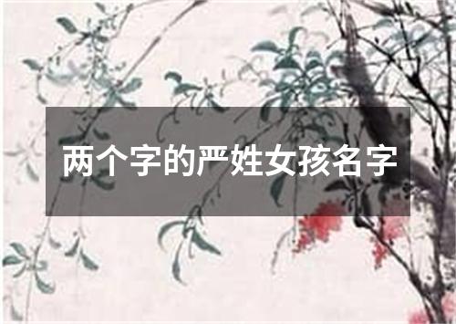 两个字的严姓女孩名字