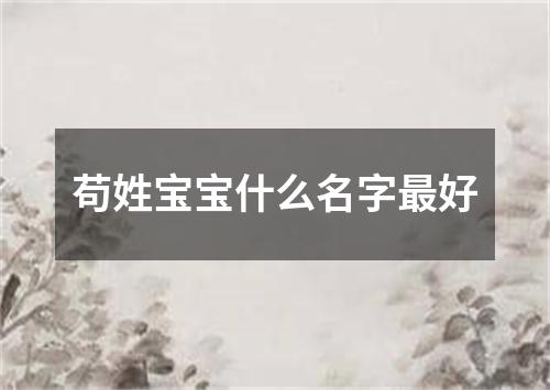 苟姓宝宝什么名字最好