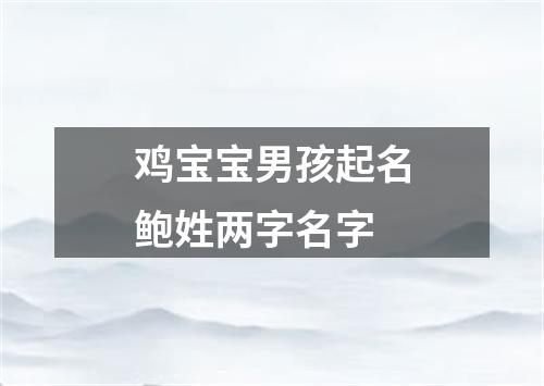 鸡宝宝男孩起名鲍姓两字名字