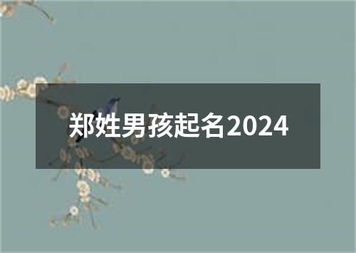 郑姓男孩起名2024