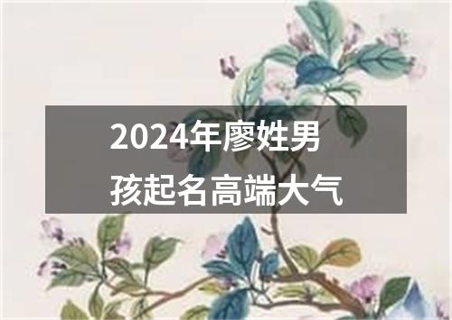 2024年廖姓男孩起名高端大气