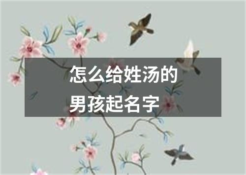 怎么给姓汤的男孩起名字