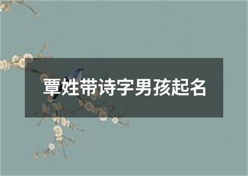 覃姓带诗字男孩起名