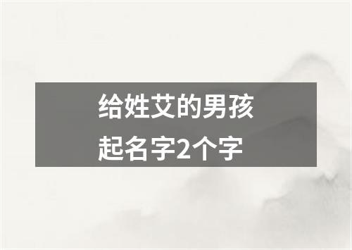 给姓艾的男孩起名字2个字