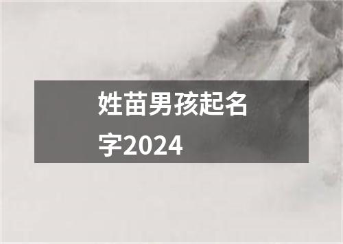 姓苗男孩起名字2024