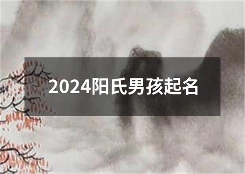 2024阳氏男孩起名