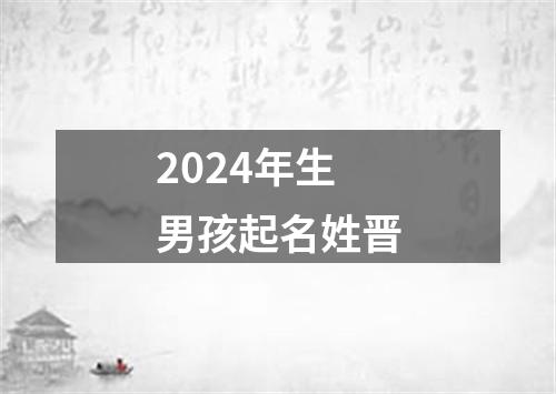 2024年生男孩起名姓晋