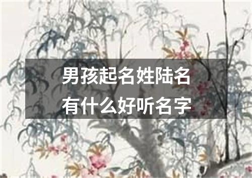 男孩起名姓陆名有什么好听名字