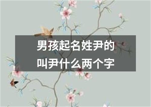 男孩起名姓尹的叫尹什么两个字