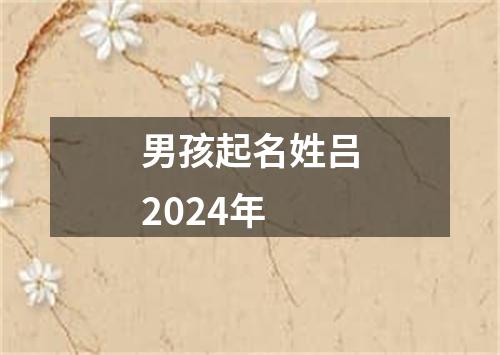 男孩起名姓吕2024年