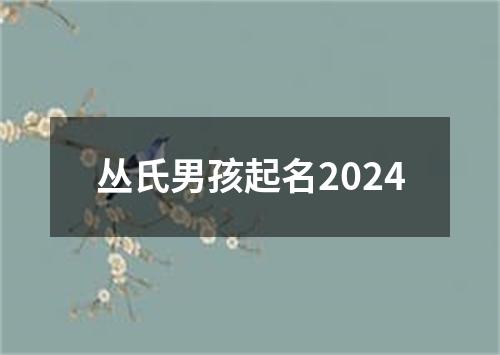 丛氏男孩起名2024