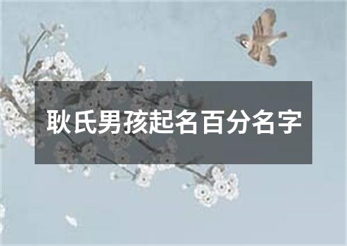 耿氏男孩起名百分名字