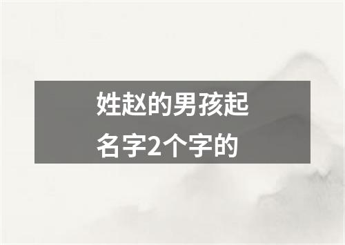 姓赵的男孩起名字2个字的