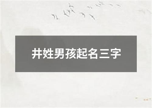 井姓男孩起名三字