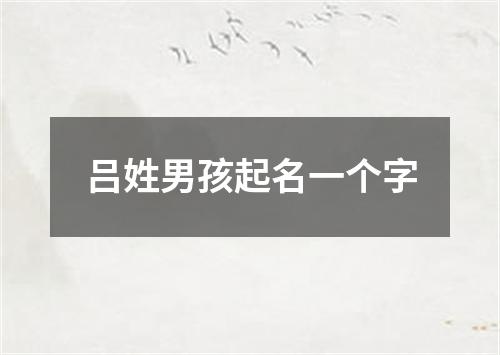 吕姓男孩起名一个字