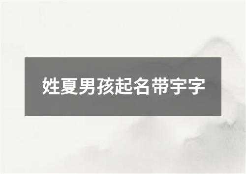 姓夏男孩起名带宇字