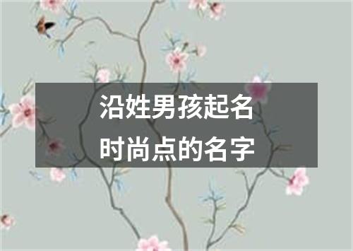 沿姓男孩起名时尚点的名字