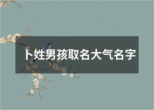 卜姓男孩取名大气名字