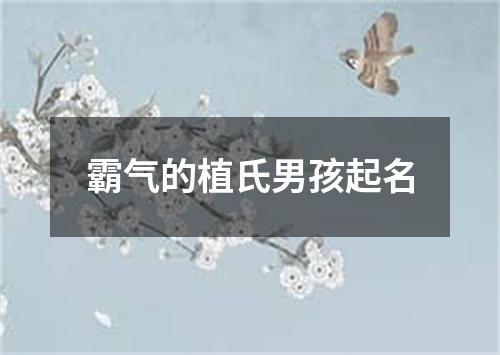 霸气的植氏男孩起名