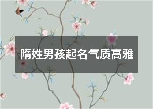 隋姓男孩起名气质高雅