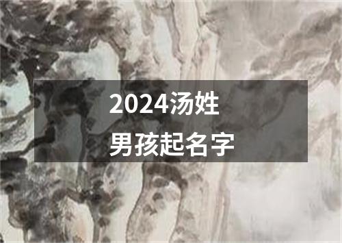 2024汤姓男孩起名字