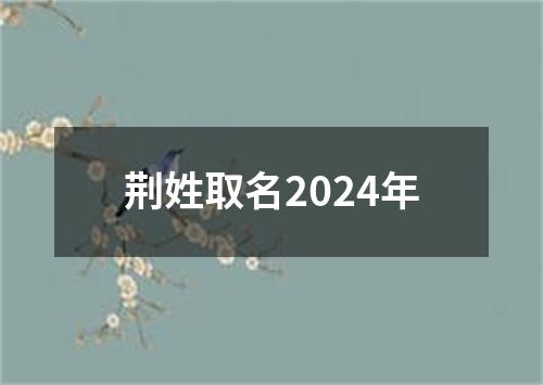 荆姓取名2024年