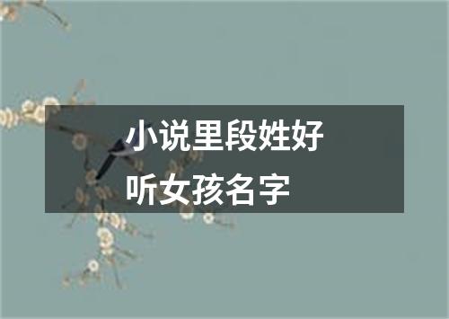 小说里段姓好听女孩名字