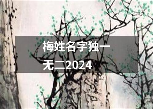 梅姓名字独一无二2024