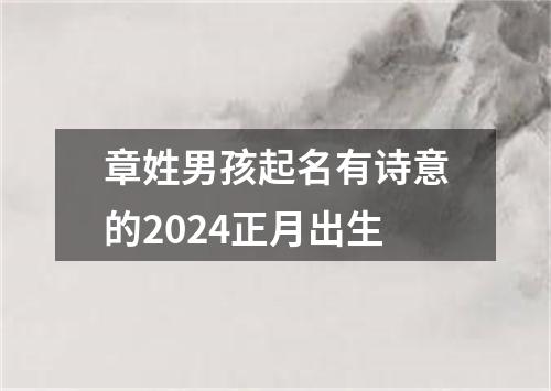 章姓男孩起名有诗意的2024正月出生