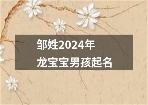 邹姓2024年龙宝宝男孩起名